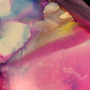 Meet your Posher, Bailey